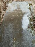 image of grave number 890205